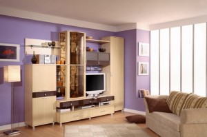 Гостиная-011