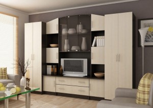 Гостиная-021