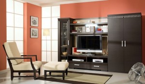 Гостиная-048